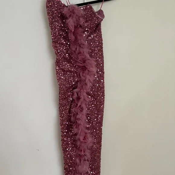 NWT Feathered Sequin Trim Midi Dress - Mauve - Picture 3 of 4